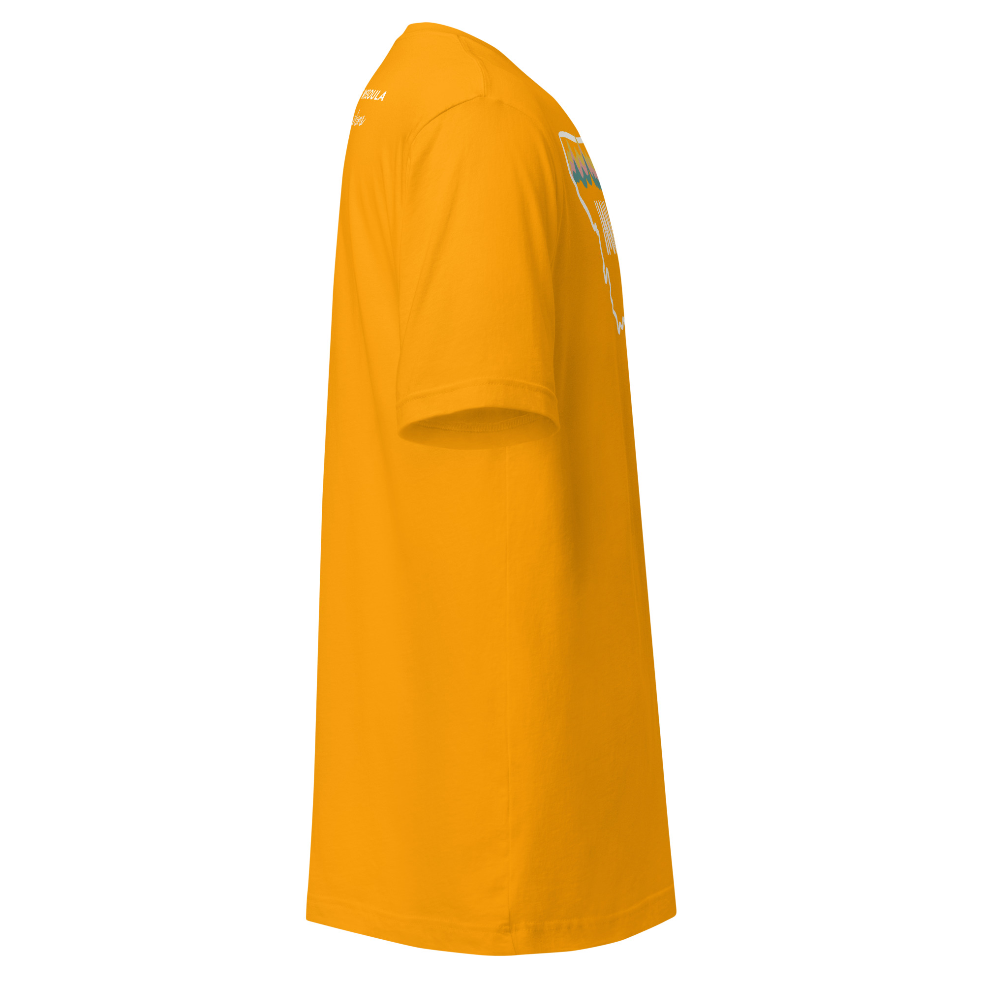 Unisex t-shirt - in Various Colors - Image 56